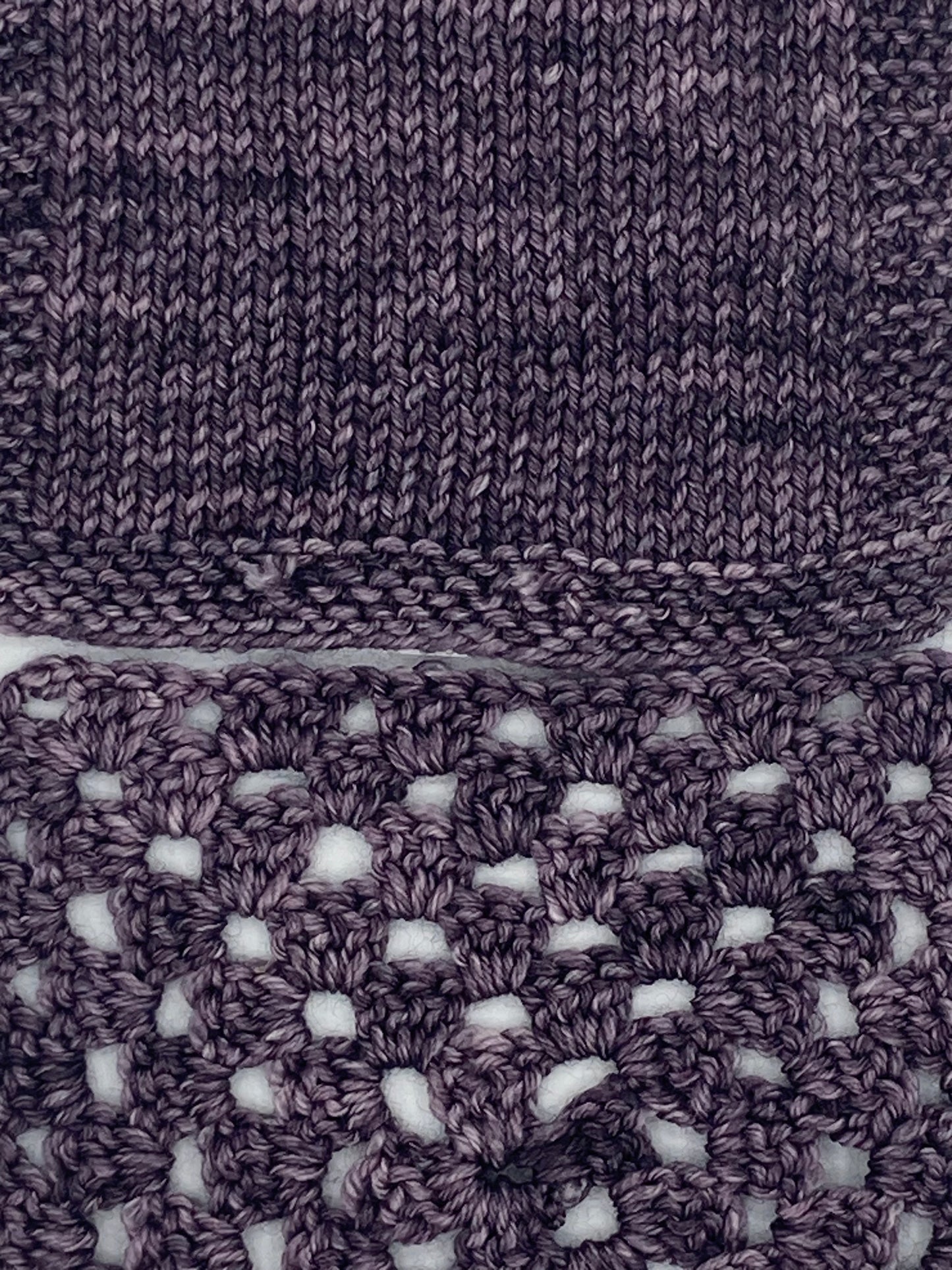Plum Dandy